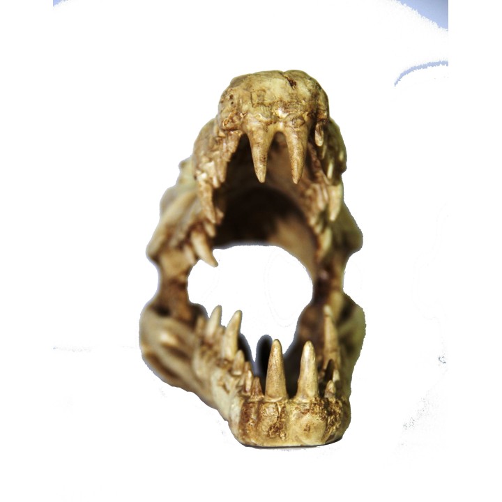 crane de croco pour terrarium (1524),decoration pour terrarium crane de croco  (1517),decoration pour reptile crane de croco  (1