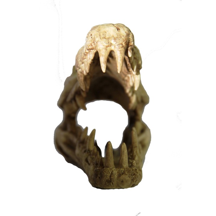 crane de croco pour terrarium (1524),decoration pour terrarium crane de croco  (1517),decoration pour reptile crane de croco  (1