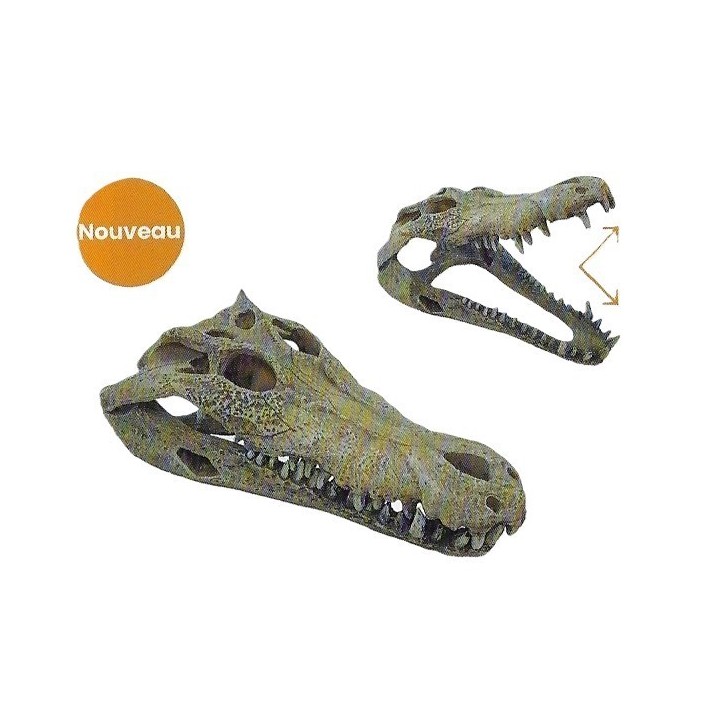 crane de crocodile l pour aquarium de repto r5100360 (3899),crane de crocodile l pour decorer un terrarium de repto r5100360 (39