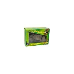 le tresor de la nature - boite de decoration de lucky reptile  (2240), boite de decoration le tresor de la nature de lucky repti