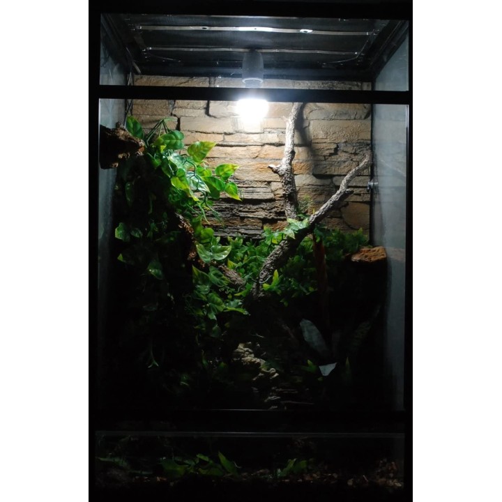 ampoule led sun globe 7w de lucky reptile  (2042),ampoule led sun globe 7w de lucky reptile  (2041),ampoule led sun globe 7w de