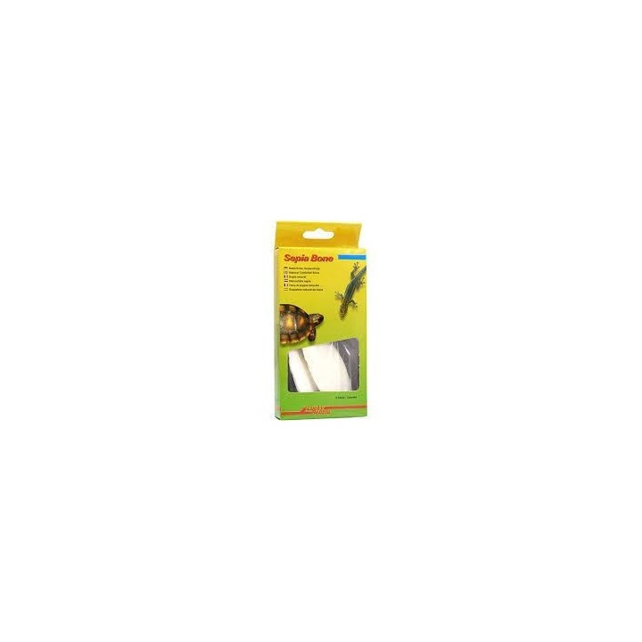 os de seche pour tortue sepia bone de lucky reptile  (2265)