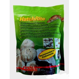 vermiculite pour incubation hatchrite de lucky reptile  (2178)