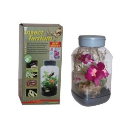 insecttarrium 5 l "halogen" de lucky reptile  (2175)