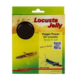 locusta jelly 4x 15g de lucky reptile  (2635)