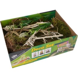 decoratio pour terrariumn life experience deco set mantes de lucky reptile  (2246),decoration life experience deco set mantes de
