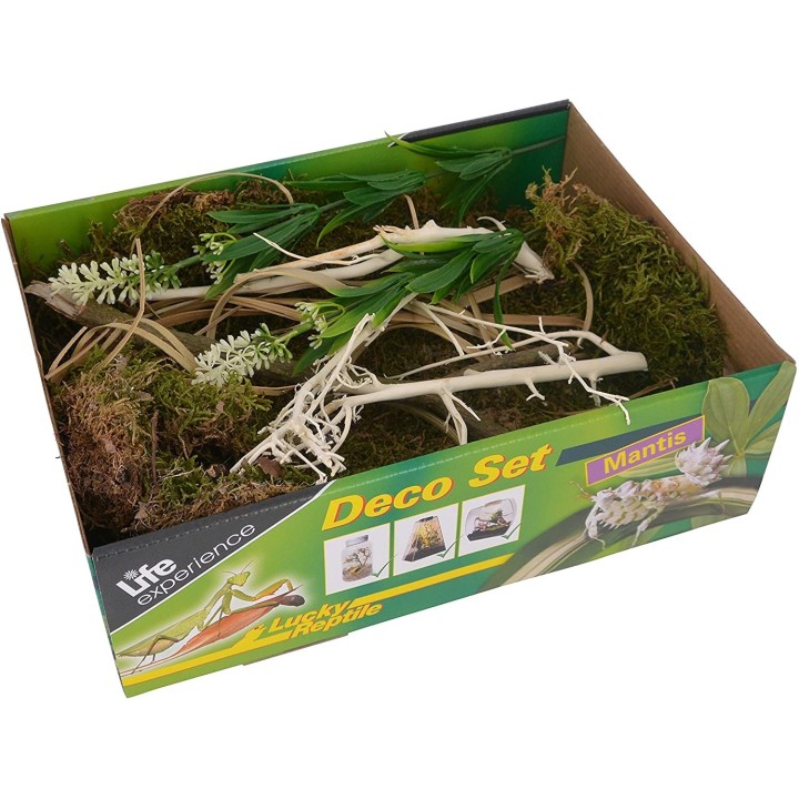 decoratio pour terrariumn life experience deco set mantes de lucky reptile  (2246),decoration life experience deco set mantes de