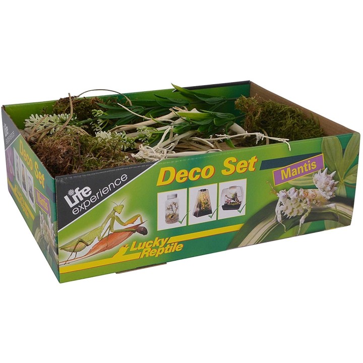 decoratio pour terrariumn life experience deco set mantes de lucky reptile  (2246),decoration life experience deco set mantes de