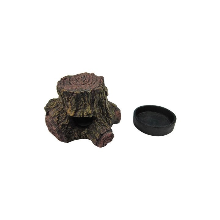 frog cave de lucky reptile  (3853),frog cave de lucky reptile  (2127)