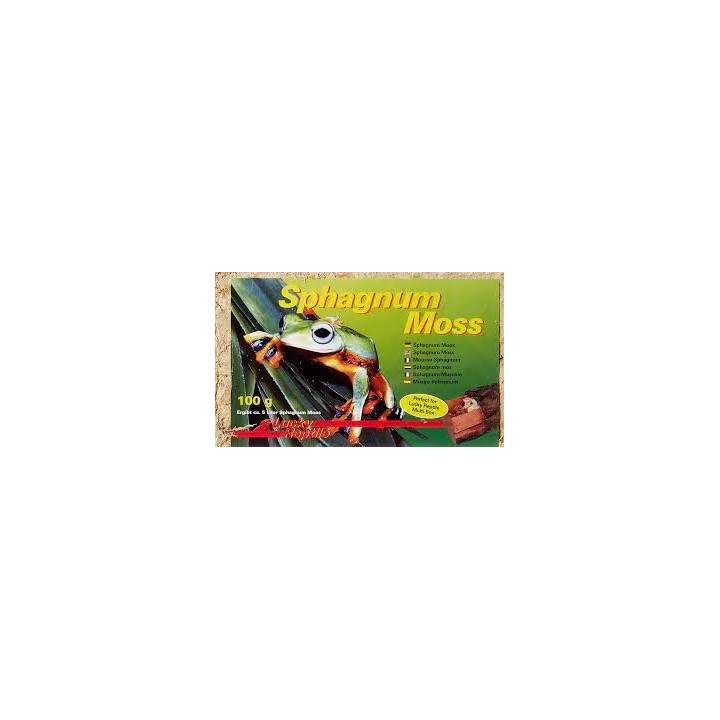 sphaigne compressee brique 100g de lucky reptile  (2255),sphaigne brique 100g de lucky reptile  (2256),plaque de sphaigne 100g d
