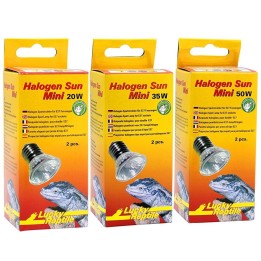 ampoules chauffantes pour terrarium halogen sun mini de lucky reptile  (3537),ampoules chauffantes pour terrarium halogen sun mi