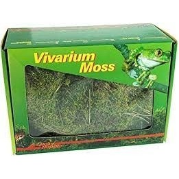 mousse pour terrarium vivarium moos 150 g de lucky reptile  (2259)