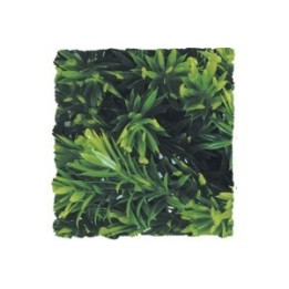 plantes artificielles zoomed medium de zoomed bu-20 (1683),plantes artificielles zoomed medium de zoomed bu-20 (1684),plantes ar
