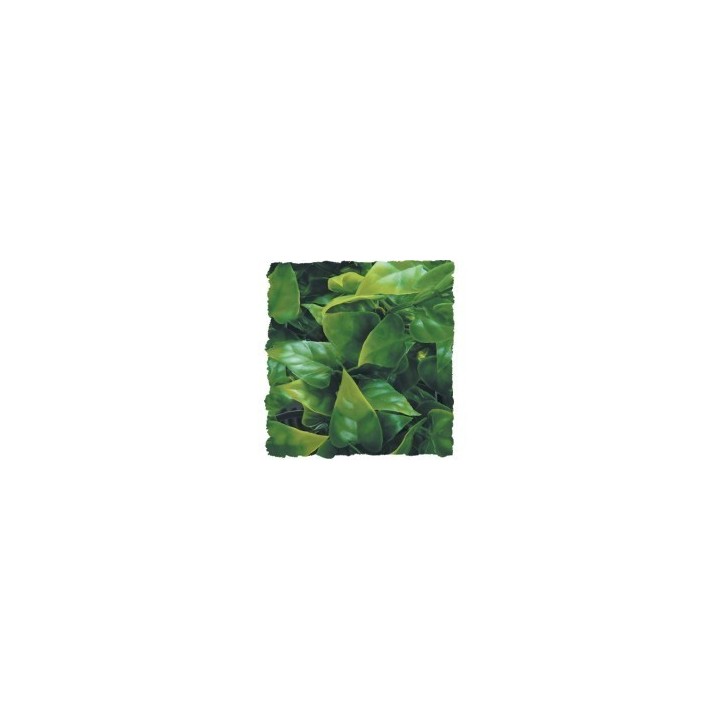 plantes artificielles zoomed medium de zoomed bu-20 (1683),plantes artificielles zoomed medium de zoomed bu-20 (1684),plantes ar