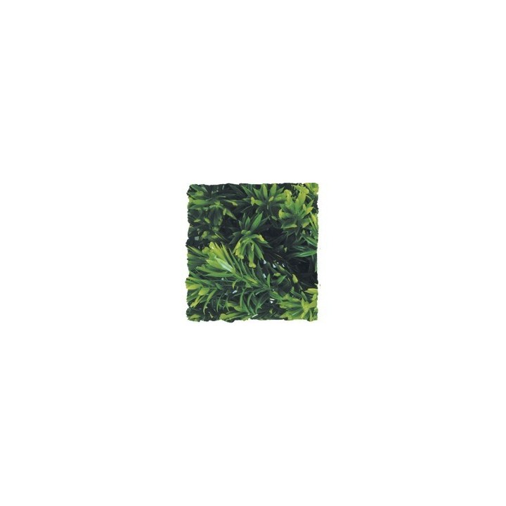 small zoomed plants de zoomed bu-10 (1673),small zoomed plants de zoomed bu-10 (1674),small zoomed plants de zoomed bu-10 (1675)