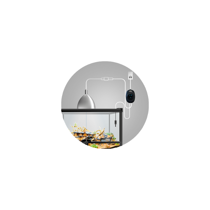 thermostat dimming intelligent programmable repto smart de repto r3300030 (3271),thermostat dimming intelligent avec minuteur in