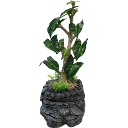 plante goute a goute pour cameleon repto dripping tree de repto r3100155 (3258),decoration plante goute a goute pour cameleon re