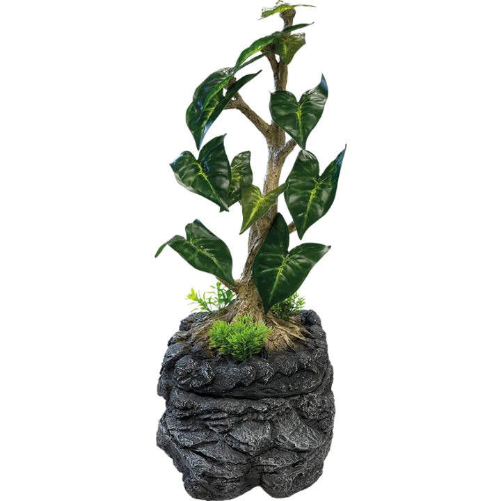 plante goute a goute pour cameleon repto dripping tree de repto r3100155 (3258),decoration plante goute a goute pour cameleon re