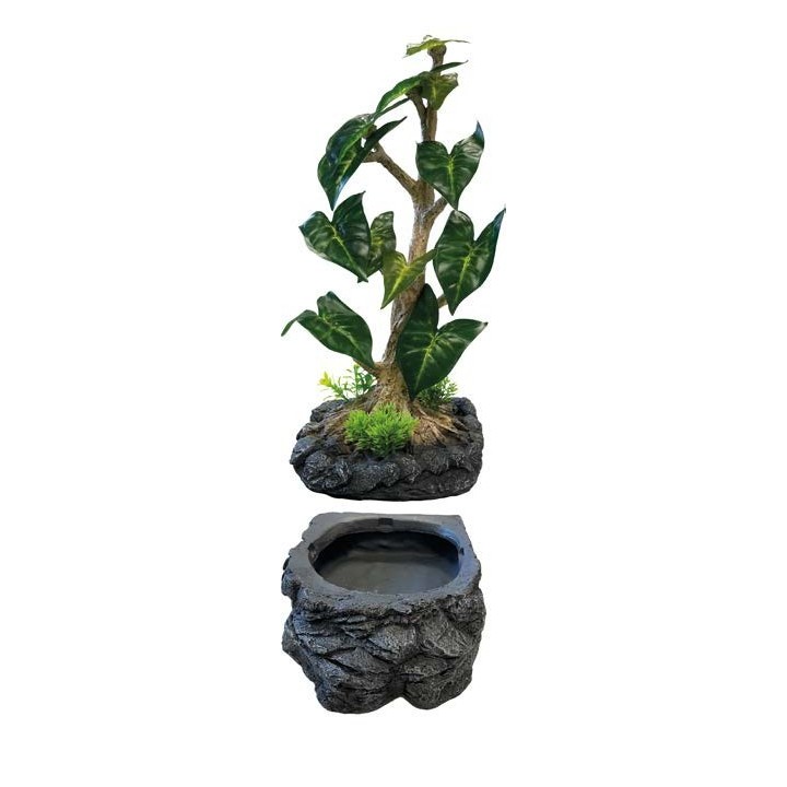 plante goute a goute pour cameleon repto dripping tree de repto r3100155 (3258),decoration plante goute a goute pour cameleon re
