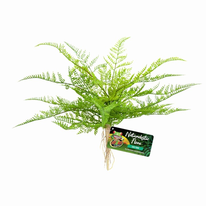 lace fern de zoomed bu-62 (3480)