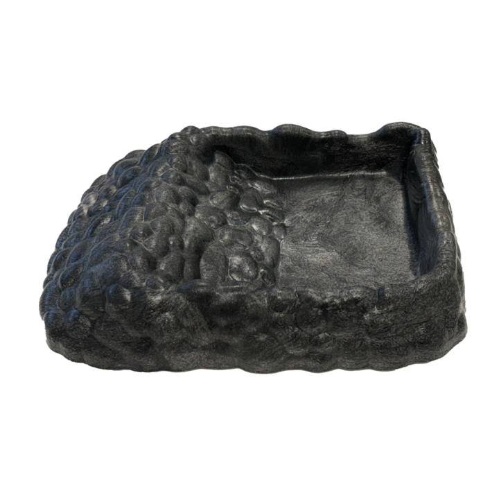 gamelle pour tortue avec rampe repto deco gris xl 33,6x25,8x6,6 cm de repto r3100135 (3402),gamelle pour tortue avec rampe repto