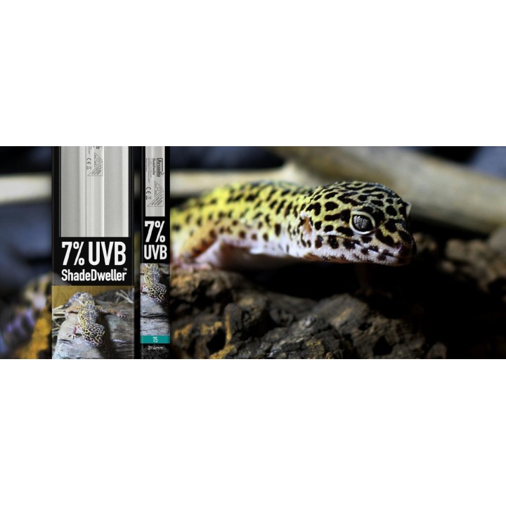 rampe pro t5 uvb kit shadedweller 7% uvb 8 watt de arcadia r2100350 (2594),rampe pro t5 uvb kit shadedweller 7% uvb 8 watt de ar