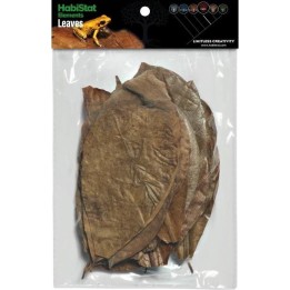 Mélange de 30 feuilles pour terrarium Habistat (4186)
