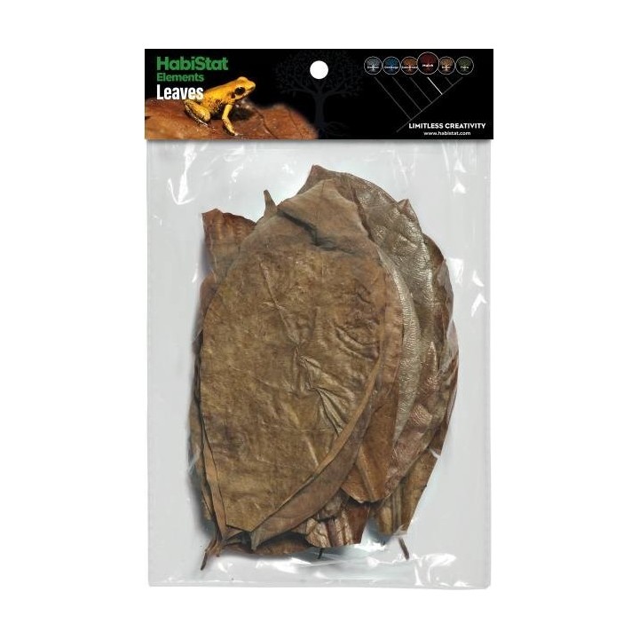 Mélange de 30 feuilles pour terrarium Habistat (4186)