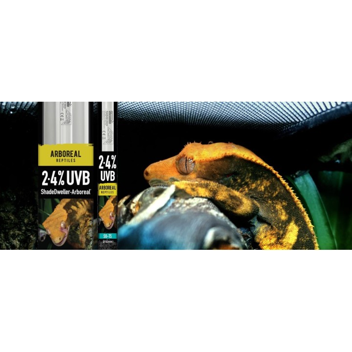 rampe pro t5 uvb kit shadedweller arboreal 2,4% uvb 8 watt de arcadia r2100345 (2595),rampe pro t5 uvb kit shadedweller arboreal
