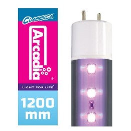tube t8 led arcadia tropical de arcadia r2100220 (3570),tube t8 led arcadia tropical de arcadia r2100220 (3571),tube t8 led arca