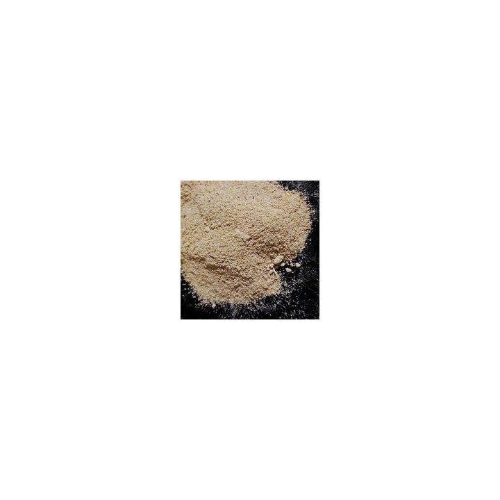 poudre pour gecko a crete arcadia earth pro stickyfoot gold de arcadia r9100095 (3472),poudre pour gecko a crete arcadia earth p