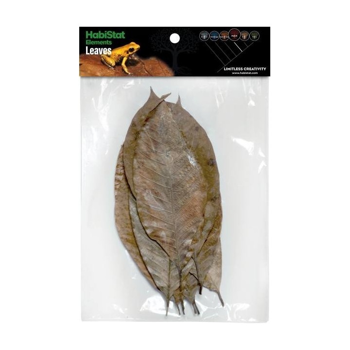 10 Feuilles d'arbre à CAOUTCHOUC Habistat (4176)