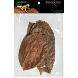 Feuille de JACQUIER x10 Habistat (4175)