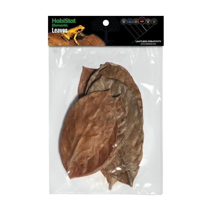 Feuille de JACQUIER x10 Habistat (4175)