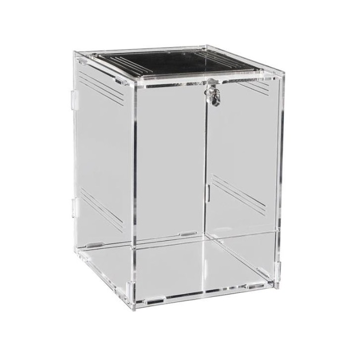 terrarium en acrylique repto terra clear 15x17x22 de repto r1100755 (3629),insectarium en acrylique repto terra clear 15x17x22 d