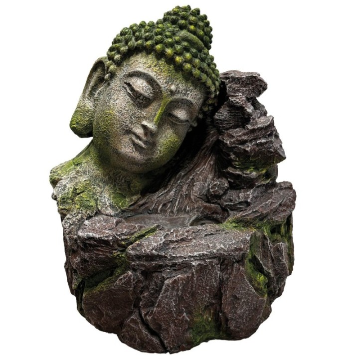 Cascade d’abreuvement REPTO Buddha