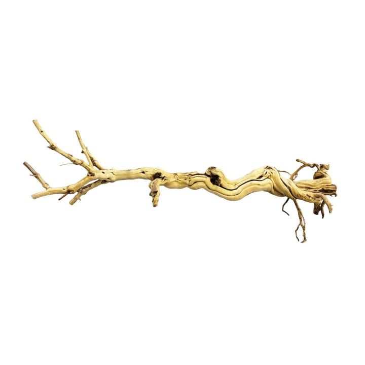 Dragon Tree 90-105 cm Repto - decoration pour terrarium