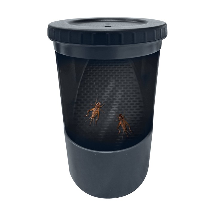 Insect Buffet Repto - decoration pour terrarium
