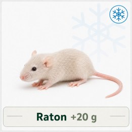 Raton +20g congelé pour reptiles - VentreaTerre