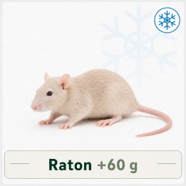 raton +60g congelé pour reptiles - VentreaTerre