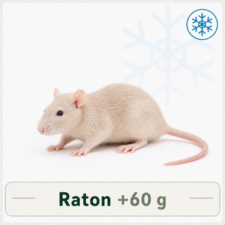 raton +60g congelé pour reptiles - VentreaTerre