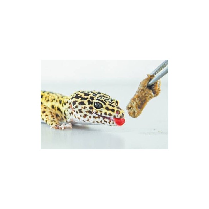 nourriture pour gecko leopard hikari leopagel 60g de hikari reptile a3020610 (3230),hikari leopagel 60g de hikari reptile a30206
