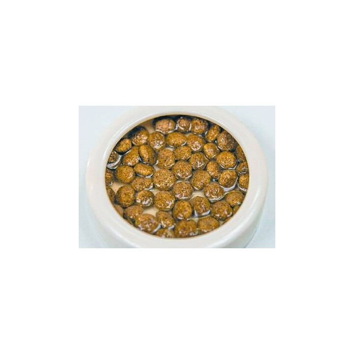 nourriture complete pour pogona hikari dragon delite 200g de hikari reptile a3020625 (3242),hikari dragon delite 200g de hikari