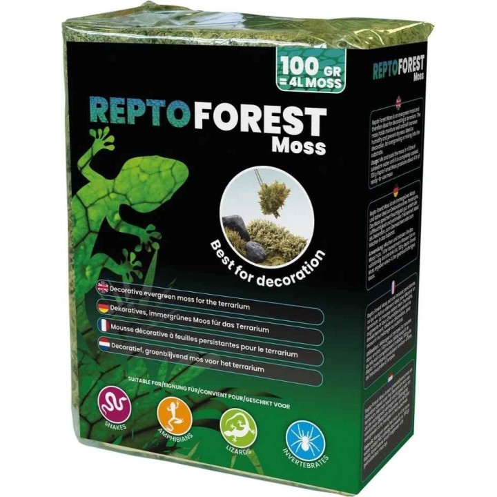 mousse de foret 100g pour terrarium de repto r5100490 (3992),mousse de foret 100g pour decorationde terrarium de repto r5100490