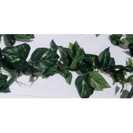 plante artificielle pothos 1,8 m 114 feuilles de euro-zoo kp10108 (4071),plante artificielle pothos 1,8 m 114 feuilles de euro-z