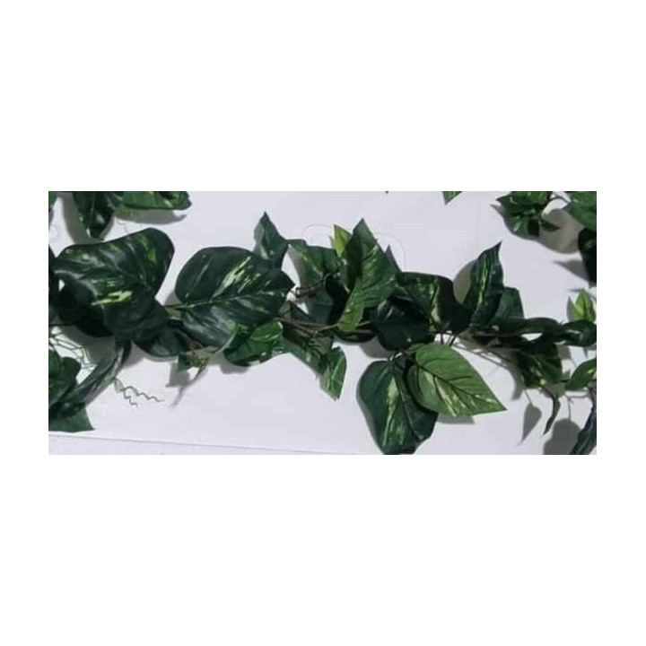 plante artificielle pothos 1,8 m 114 feuilles de euro-zoo kp10108 (4071),plante artificielle pothos 1,8 m 114 feuilles de euro-z