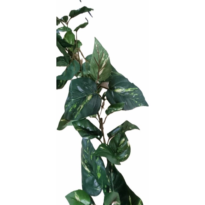 plante artificielle pothos 1,8 m 114 feuilles de euro-zoo kp10108 (4071),plante artificielle pothos 1,8 m 114 feuilles de euro-z