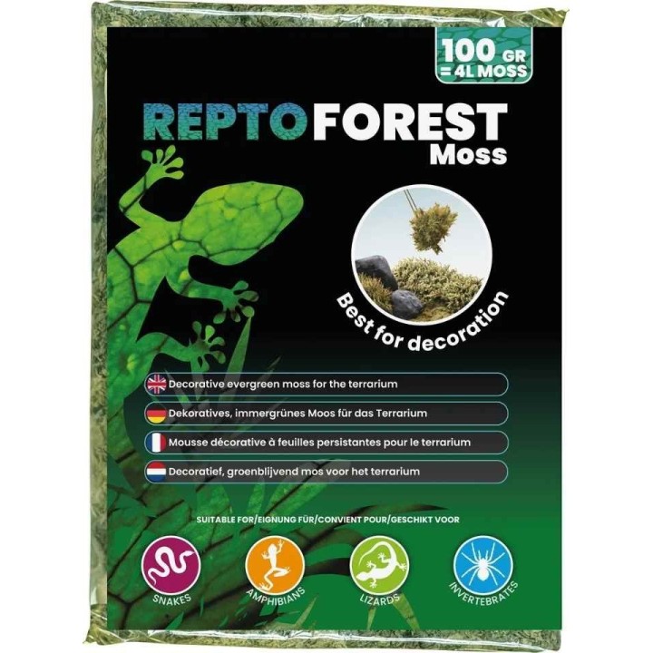 mousse de foret 100g pour terrarium de repto r5100490 (3992),mousse de foret 100g pour decorationde terrarium de repto r5100490