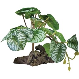 Bégonia artificiel pour terrarium (4193)