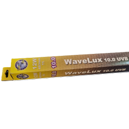 tube neon wavelux uvb t5 10.0 de euro-zoo l10813 (3879)